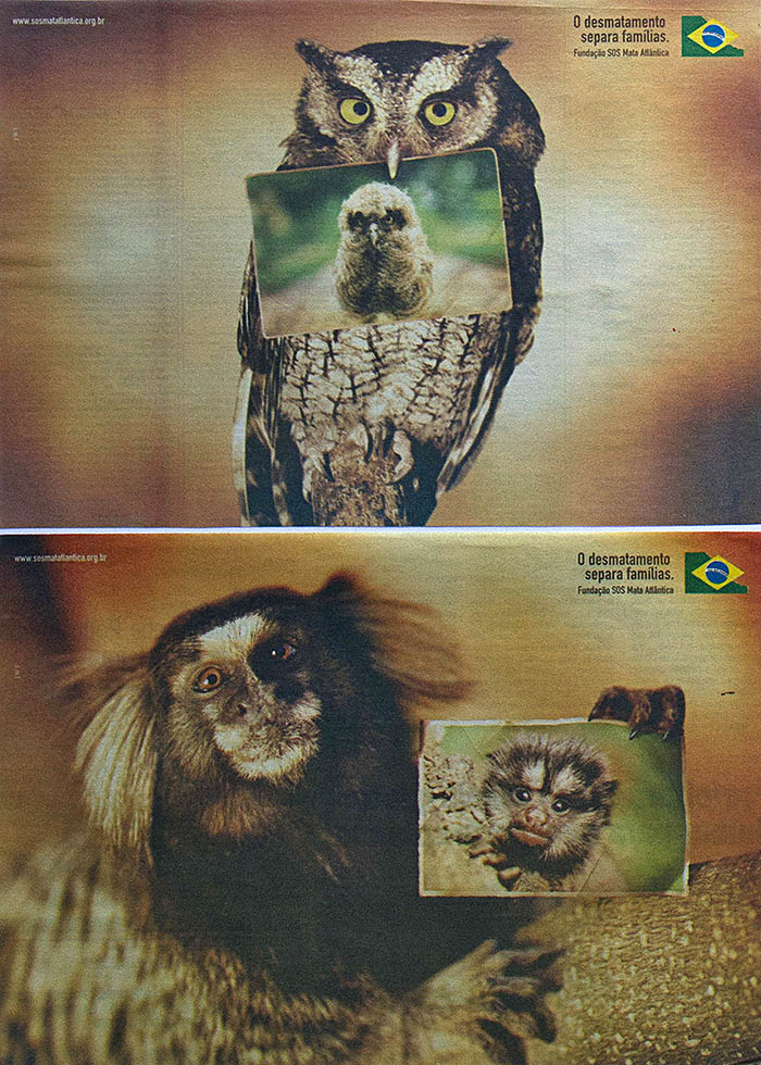 S.O.S. Mata Atlântica